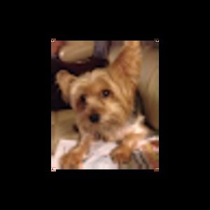 Meet your Posher, Joann